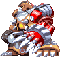 MMX5 - Crescent Grizzly.png