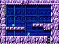 Wily Stage 1