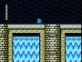 Toad Man Stage